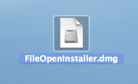 Save the DMG file